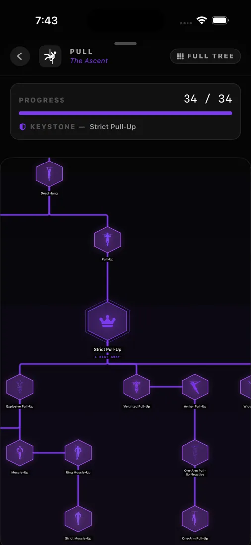 UNBOUND Pull skill tree from dead hang to one-arm pull-up